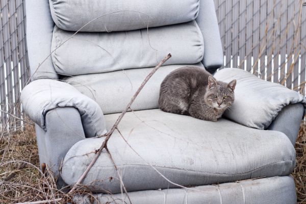 Recliner Disposal in Saint Charles